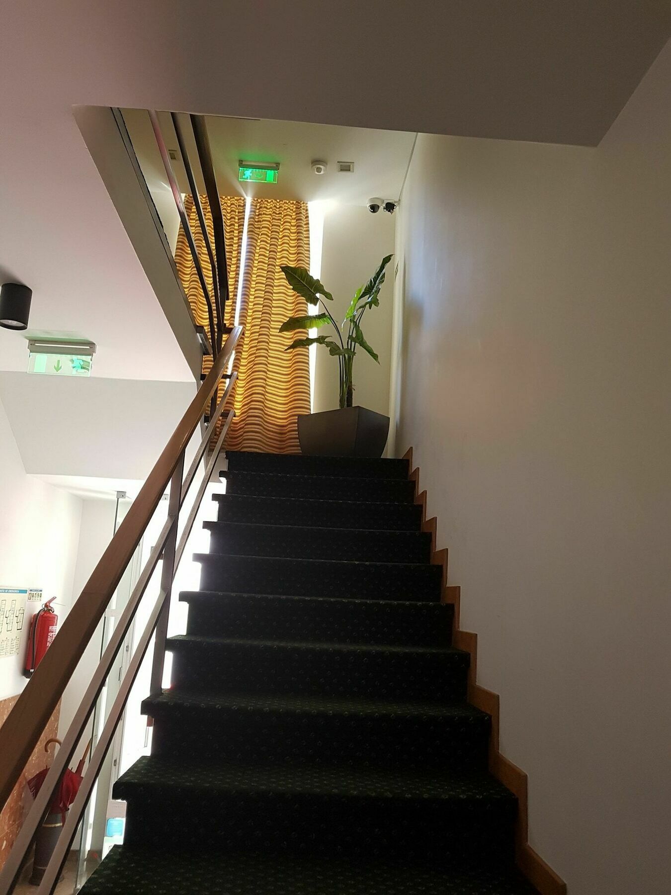 Hotel Zenite أنغرا دو إِراويزو المظهر الخارجي الصورة